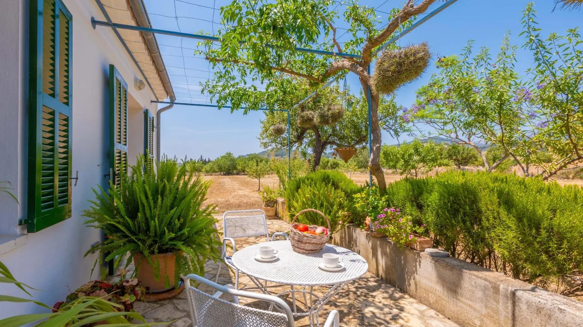 Ses Planes -Ca Na Faustina- (Adults Only) Villa Selva